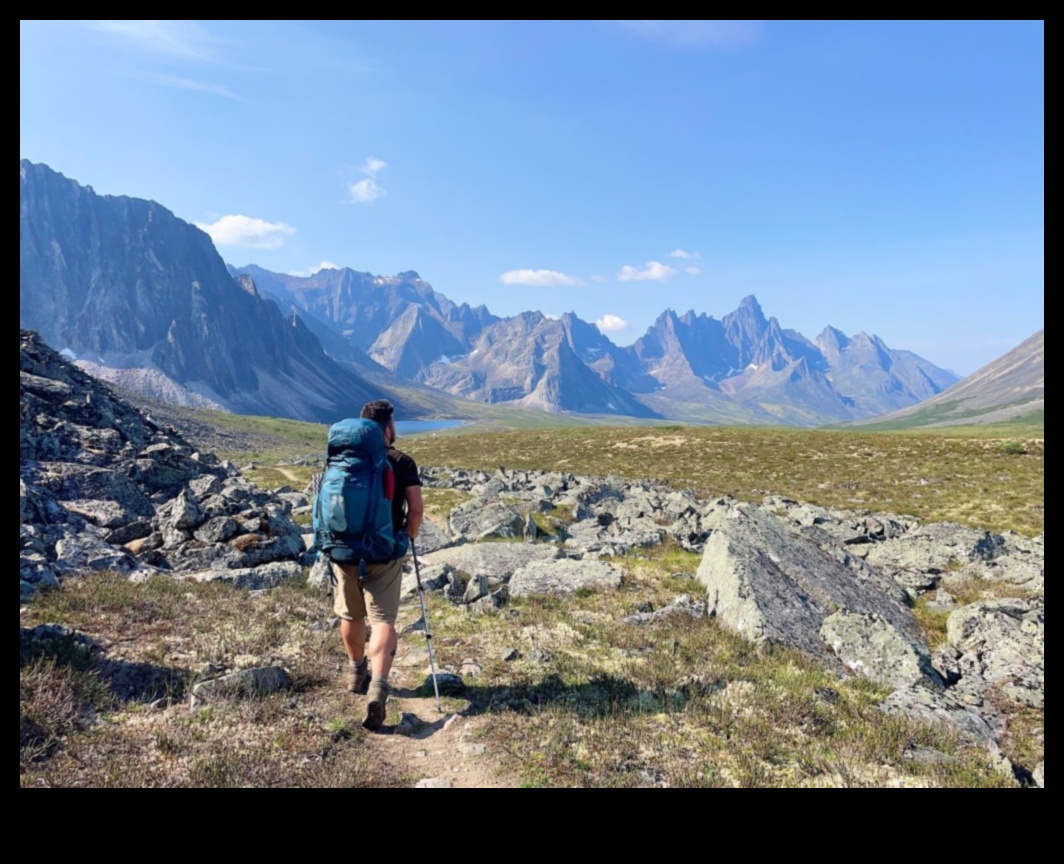 Twitter Adventures: Navigating the Wilderness of Short-form Content