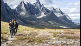 Twitter Adventures: Navigating the Wilderness of Short-form Content