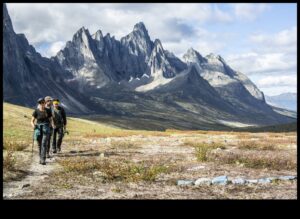 Twitter Adventures: Navigating the Wilderness of Short-form Content