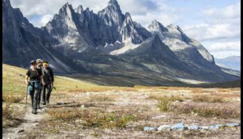 Twitter Adventures: Navigating the Wilderness of Short-form Content