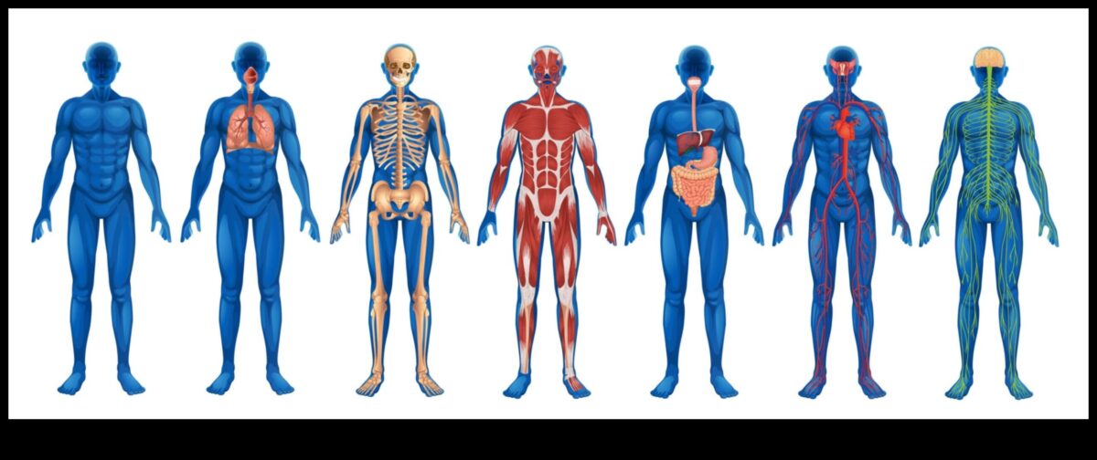Αισθητηριακή Εξερεύνηση: Ξεκλείδωμα της Power of Body Scan