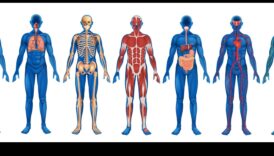 Αισθητηριακή Εξερεύνηση: Ξεκλείδωμα της Power of Body Scan