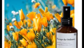 Energizing Retreat: Δημιουργώντας Στιγμές Αναζωογόνησης με Τσάι Τζίντζερ