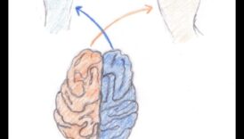 Εκφραστική κίνηση: Ενσωμάτωση της καλλιτεχνικής έκφρασης στο ζέσταμά σας