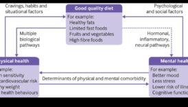 Η σύνδεση μεταξύ μακροχρόνιας δίαιτας και ψυχικής υγείας