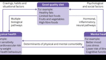 Η σύνδεση μεταξύ μακροχρόνιας δίαιτας και ψυχικής υγείας
