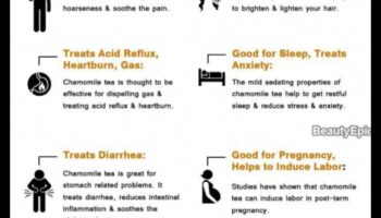 Ηρεμία και άνεση: Αφεθείτε στις ανέσεις του τσαγιού χαμομηλιού