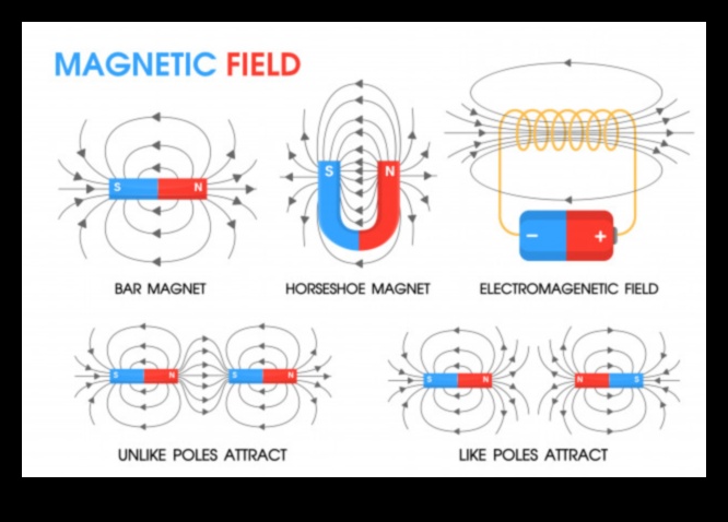 Μαγνητικός πυρήνας: Προσέλκυση δύναμης μέσω έξυπνων προπονήσεων
