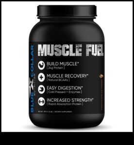 Ο ρόλος της πρωτεΐνης στην αποκατάσταση μετά την προπόνηση: Τι πρέπει να γνωρίζετε