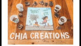 The Art of Chia Crafting: Tips and Inspirations for Chia Enthusiasts