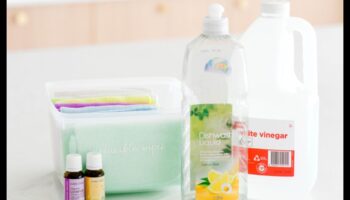DIY Brush Wipes: Crafting Convenient Solutions for On-the-Go Cleaning